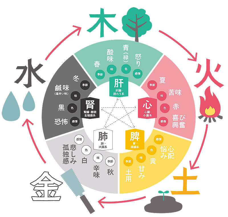 薬膳講座 中級〈通学〉五感で学ぶ五臓と季節｜横浜 胡桃の庭