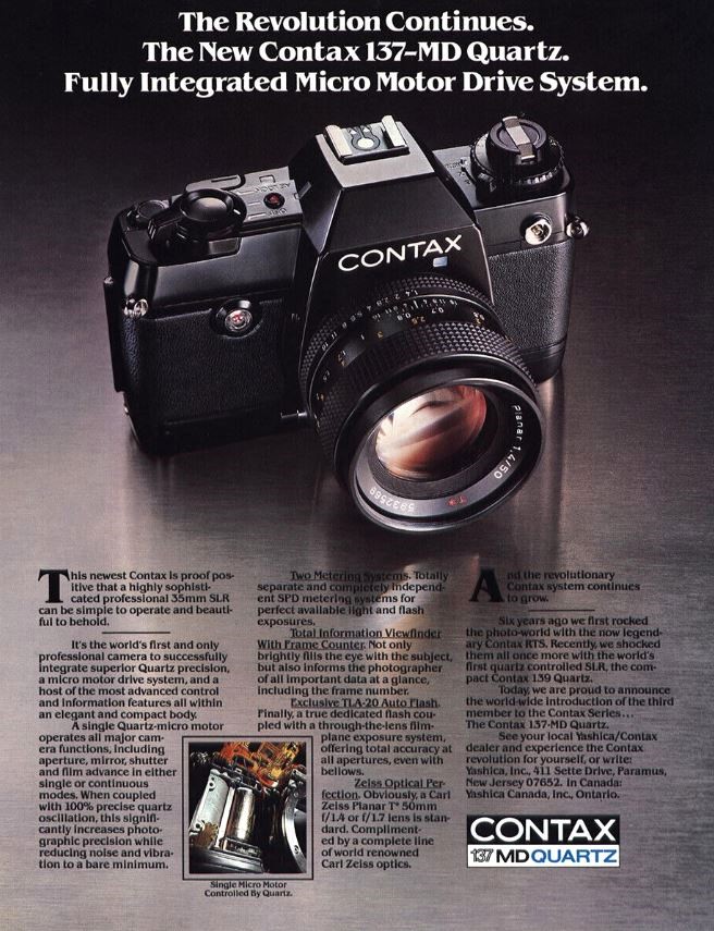 Contax 137 MD Quartz and a lizard. | Chasing Classic Cameras with