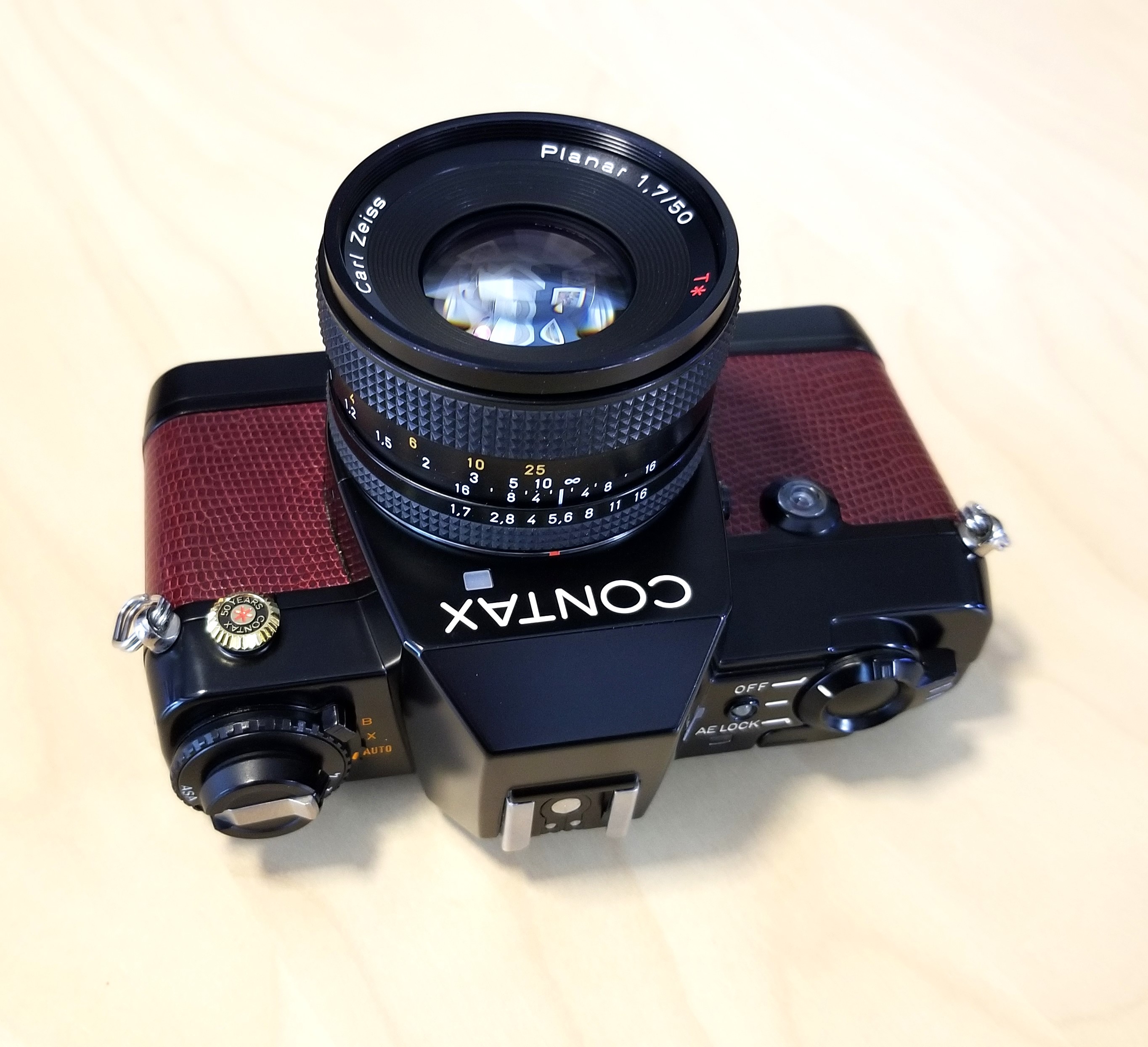 Contax 137 MD Quartz and a lizard. | Chasing Classic Cameras with