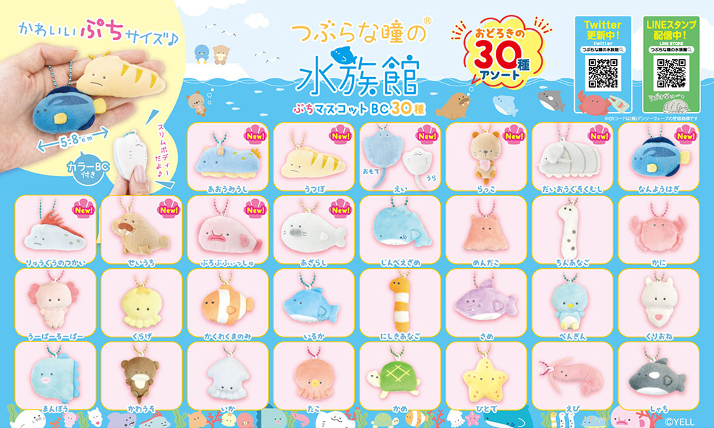 つぶらな瞳の水族館 | Yell World｜エールワールド