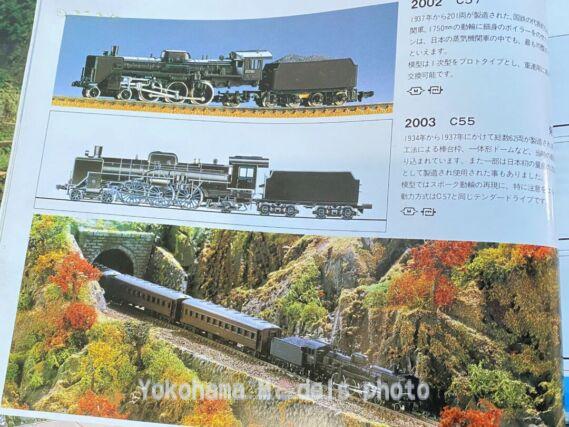 C55形3次形北海道仕様（国鉄）が入線しました。 TOMIX 2010 | NGaugeJP