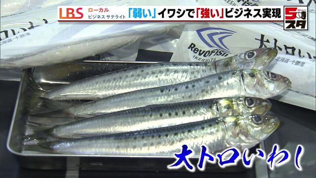 価格は通常の生のイワシの倍近く「大トロいわし」 サケ・イカ・サンマ