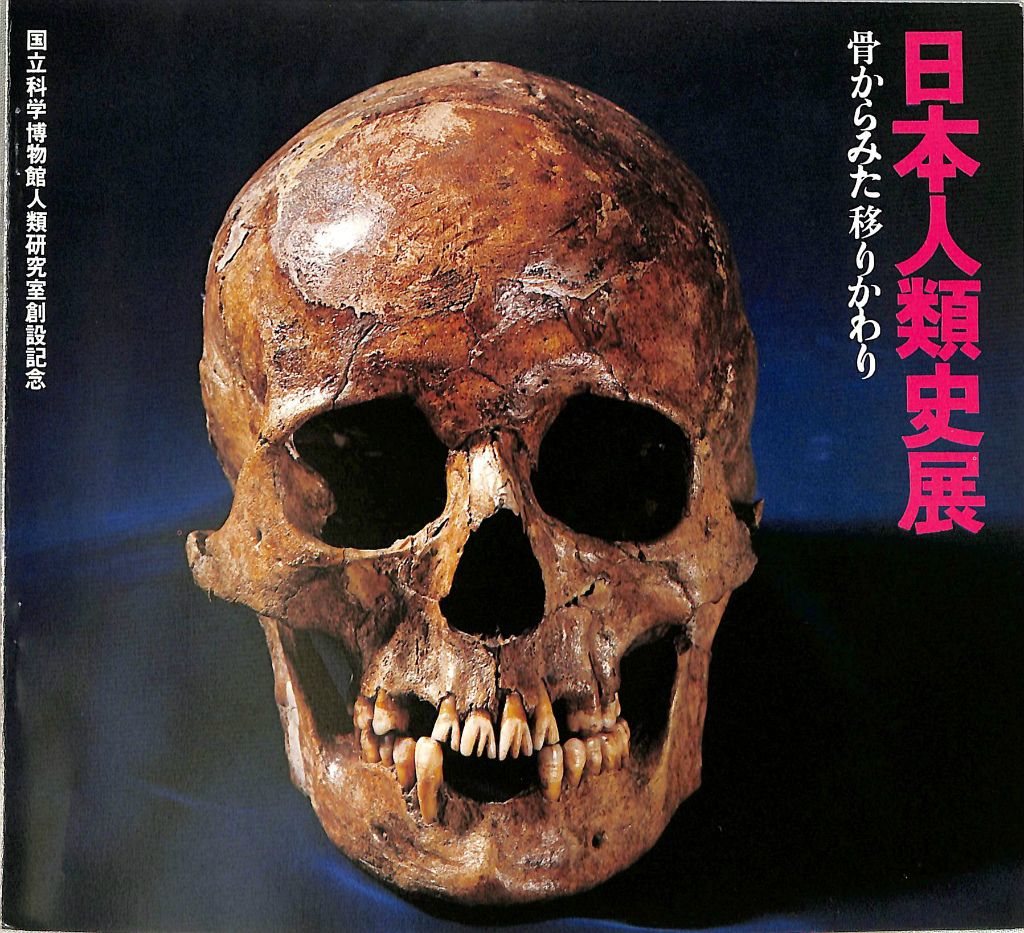 新講 日本史 三訂版 家永三郎 黒羽清隆 共著 | 古本よみた屋