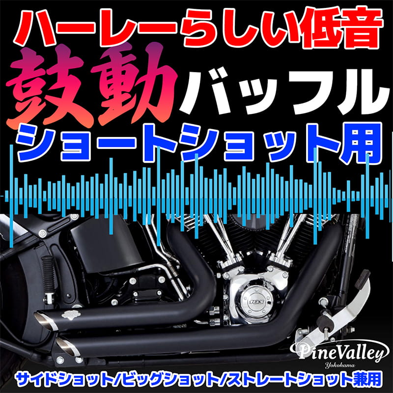 低音バッフル 「鼓動」 バンス＆ハインズ製ショートショット/サイド