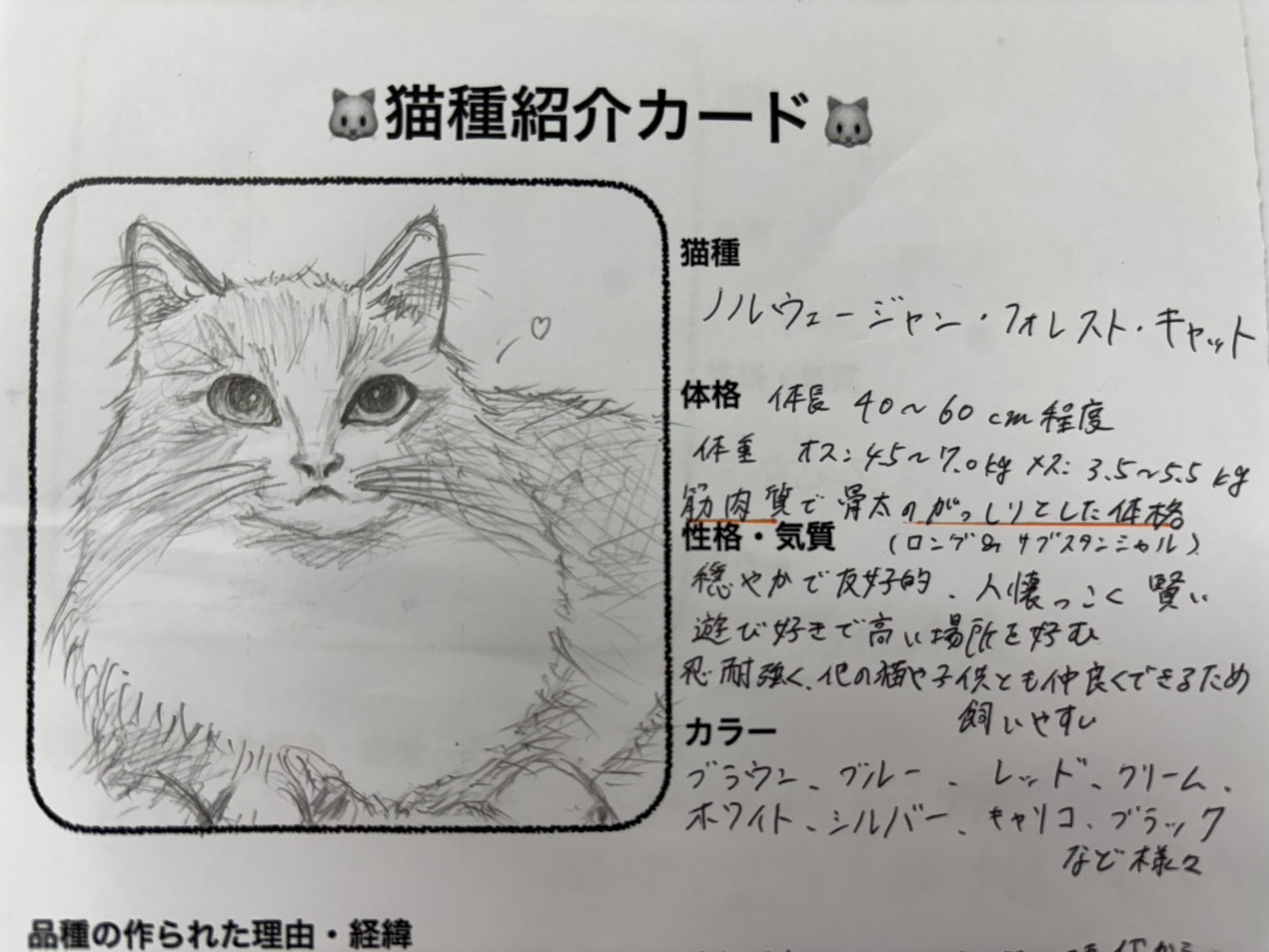 1年生｜猫種について理解する！猫種カードを作成✍😸♪ - 吉田学園動物