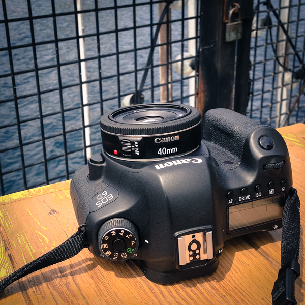 お散歩レンズ・EF40mm F2.8 STMで春のTDSを撮ってみたよ | YOSHI