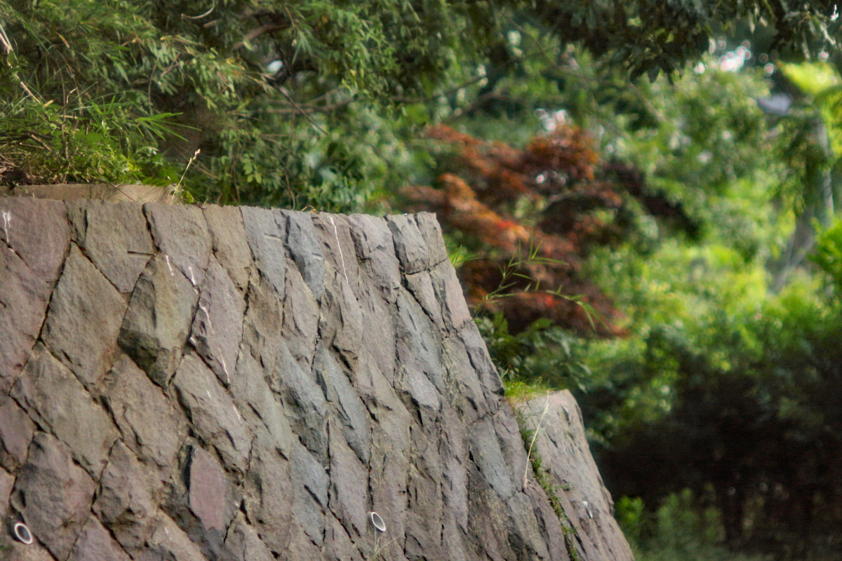 ヤシカ 「オートヤシノン DX 135mm/F2.8」分解・清掃・作例 | ヨッシー