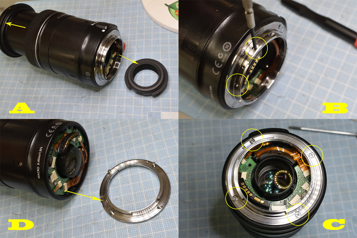 キャノンズームレンズ「EF-S18-135mm F3.5-5.6 IS」分解清掃・作例