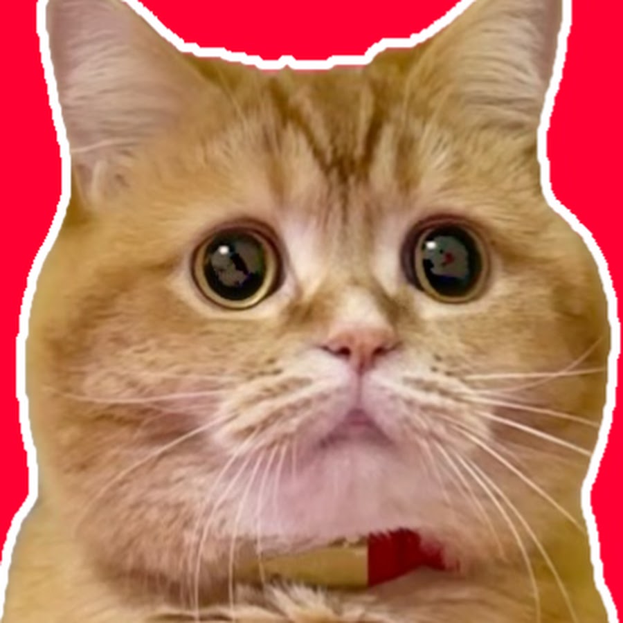 Mokomaru Family - YouTube