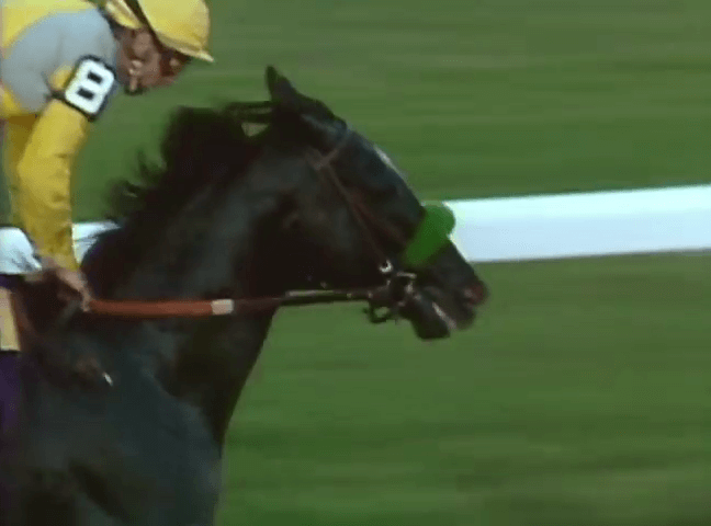 平成の首位種牡馬を辿る(其の伍)-サンデーサイレンス(1986.3.25)- | 雪