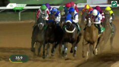 中島国治氏関連馬 | 雪の家雑記帳