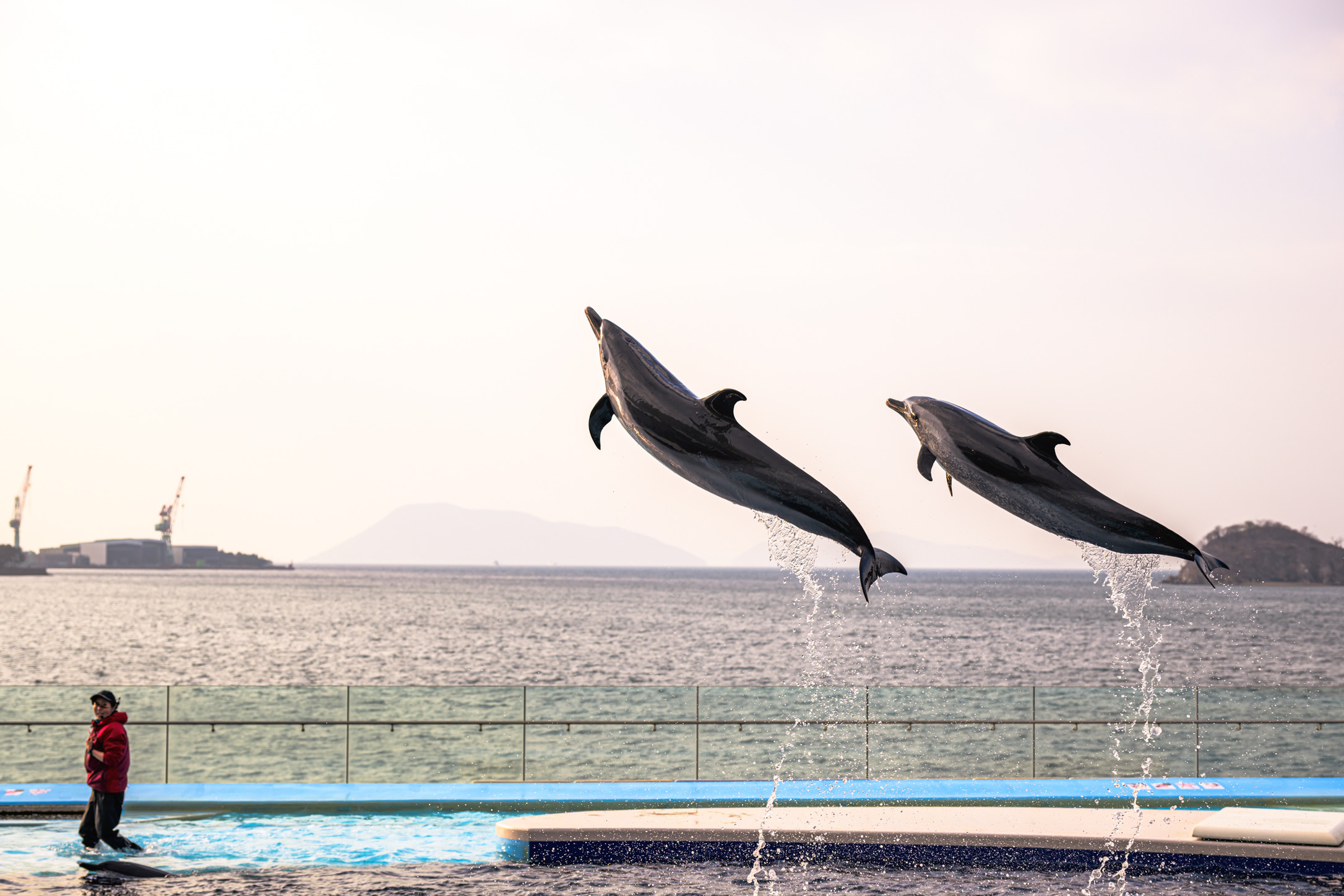 YUTA録K–1 Mk2、Nikon Df、LeicaM10-R、Leica SL2-S、Leica Q2のカメラ