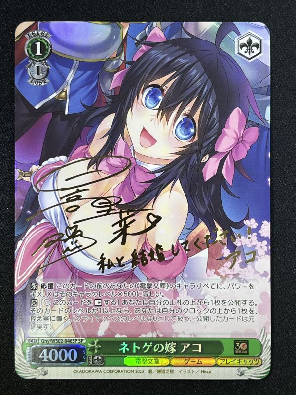 ネトゲの嫁 アコ SP - 遊楽舎 通販サイト