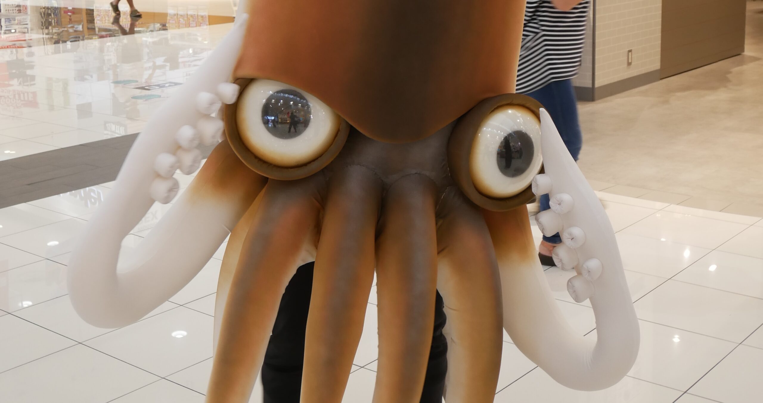 イカール星人」と函館のイカ｜ゆるキャラ