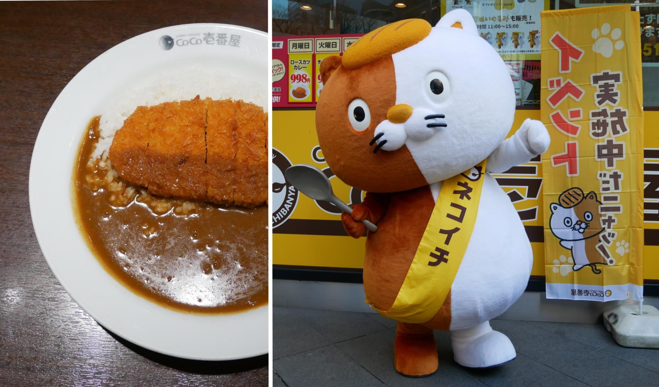 CoCo壱番屋(ココイチ)をPRするNeCo壱(ネコイチ)｜ゆるキャラ