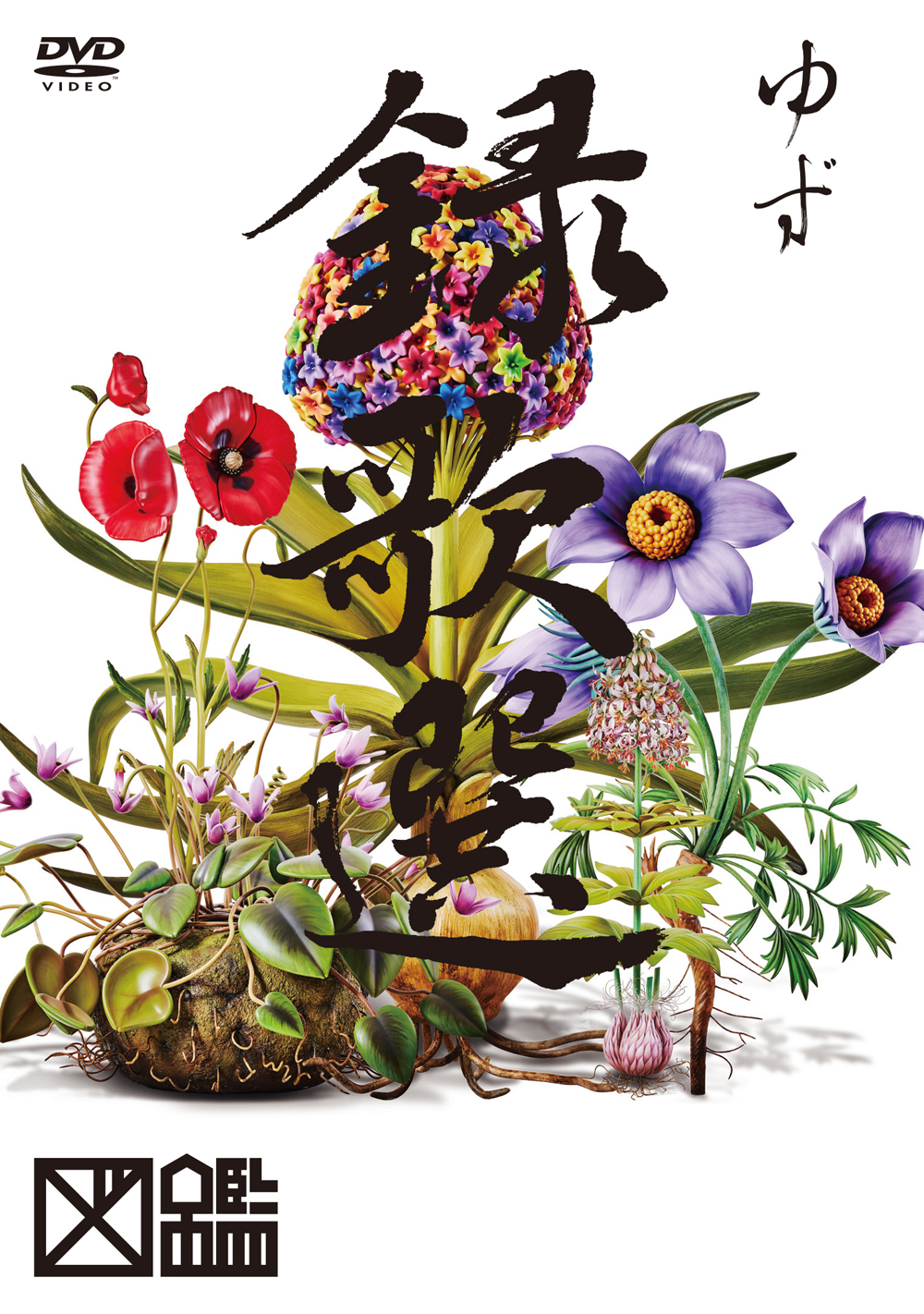 DVD「録歌選 図鑑」 | DISCOGRAPHY | ゆずオフィシャルサイト