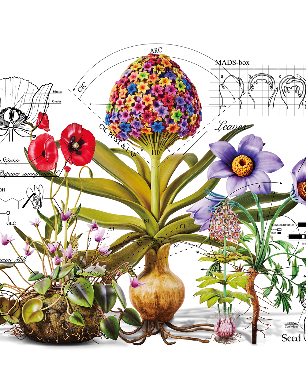 NEW ALBUM YUZU図鑑 | ゆずオフィシャルサイト