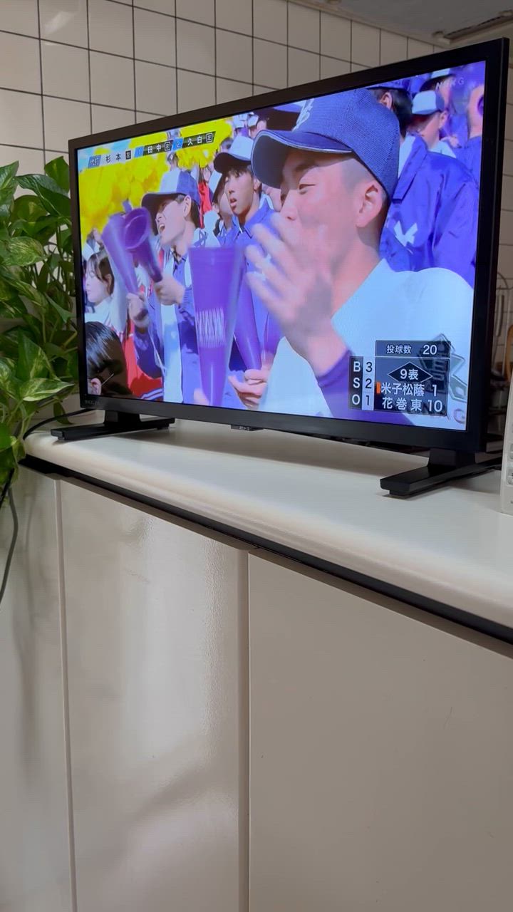 REGZA（レグザ） REGZA 24V型 ハイビジョンLED液晶テレビ 24V35N (宅配