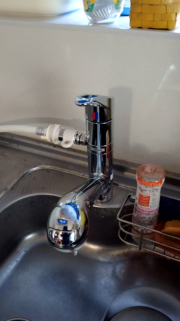 タカギ（takagi） タカギ製 JA396MN浄水器一体型ハンドシャワー水栓