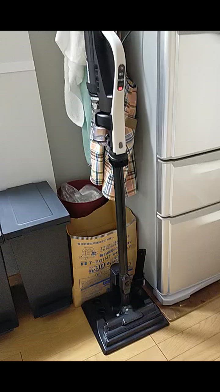 日立（HITACHI） コードレスクリーナー PV-BL3L(C) コードレス