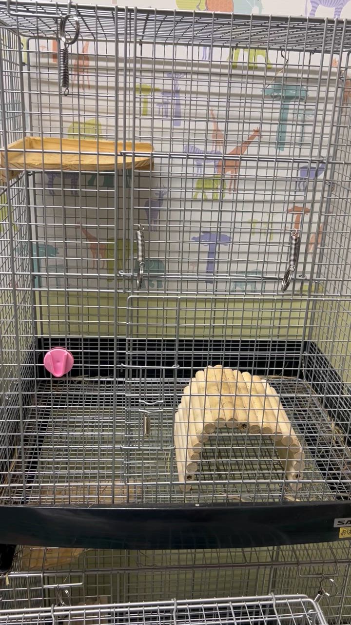 イージーホーム SANKO C26 イージーホーム60 ハイメッシュ ブラック 60