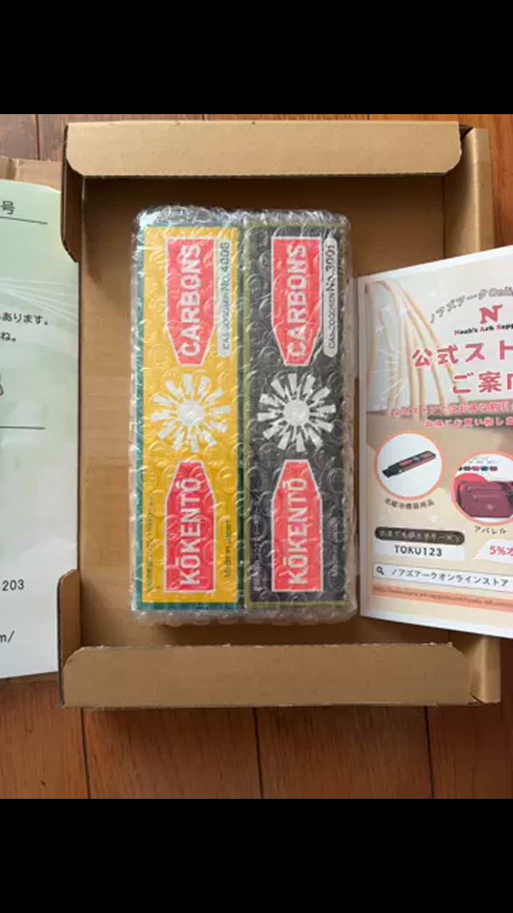 コウケントー 光線治療器用カーボン 3001番 4008番 セット 10本入り各1