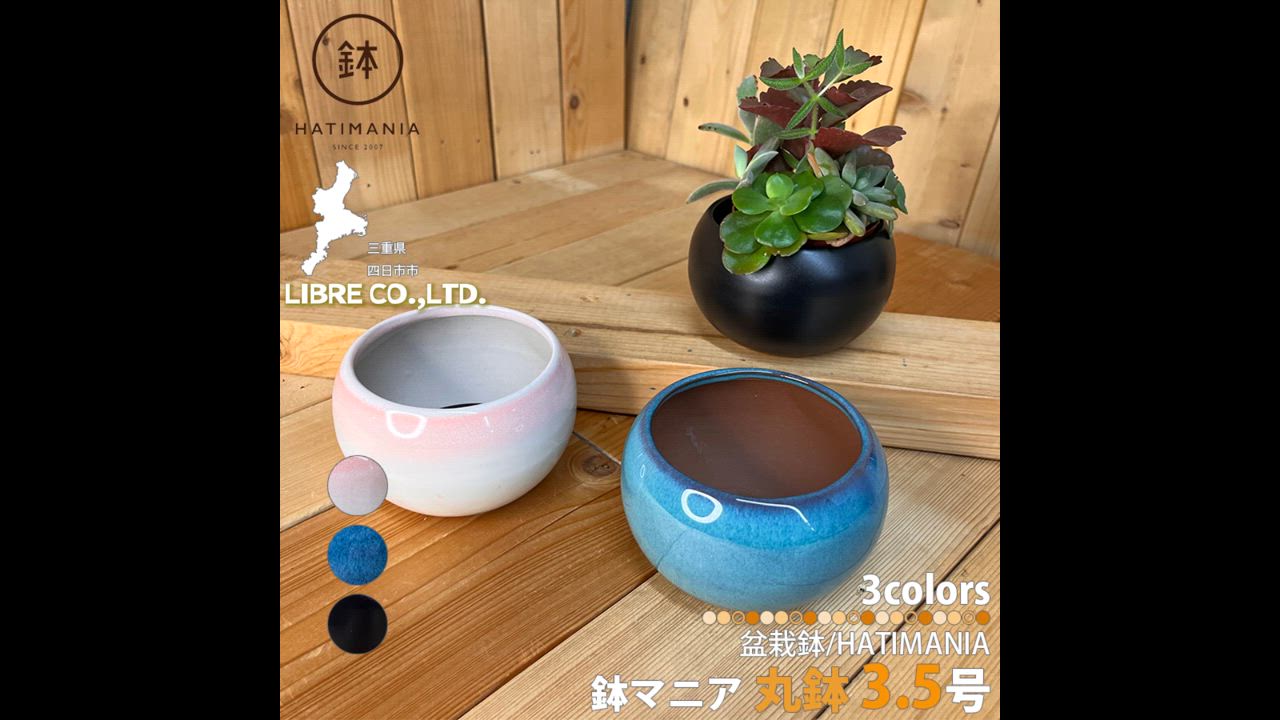 HATIMANIA 鉢マニア 丸 3.5号 盆栽鉢 水が抜けやすい 小さい 小サイズ