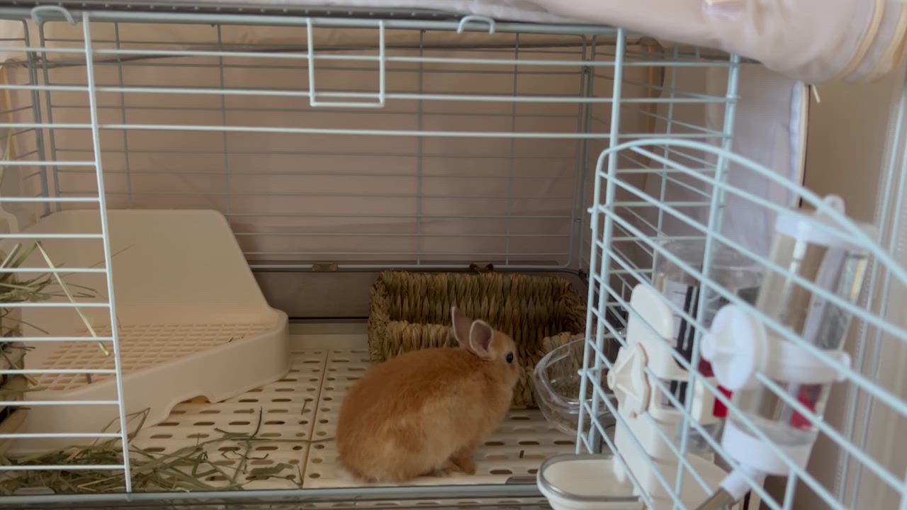 イージーホーム うさぎケージ 三晃商会 イージーホーム ネクスト70