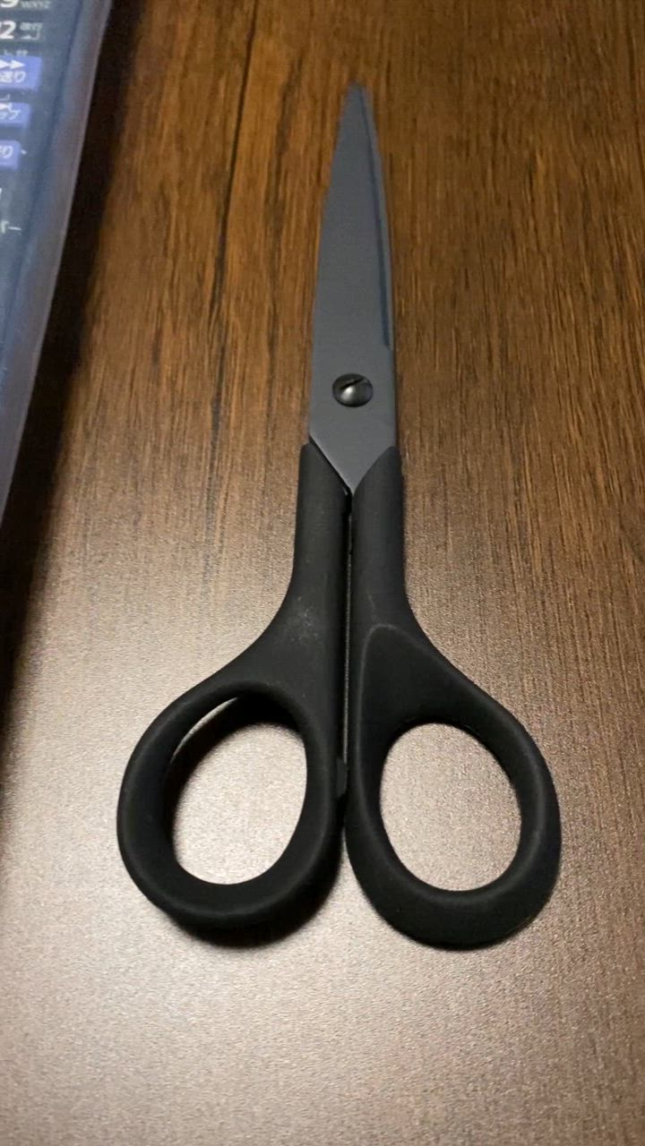 ALLEX（林刃物） はさみ ハサミ 鋏 事務 事務鋏 封筒 黒 ブラック