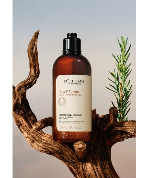 L'OCCITANE（ロクシタン） シャンプー ボリューム＆ストレングス