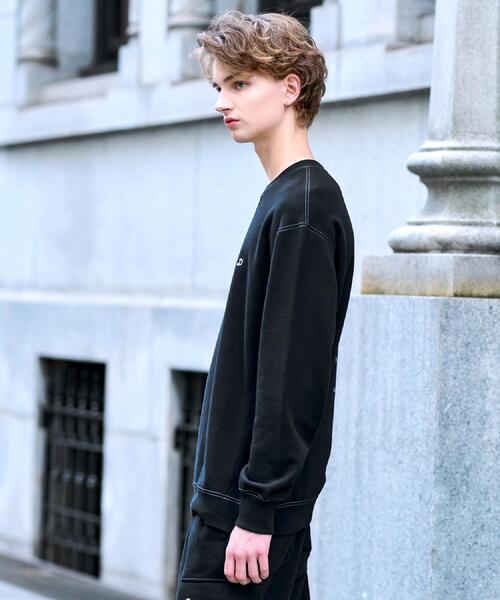 DRESSTERIOR（ドレステリア） トレーナー スウェット 裏起毛 バック9