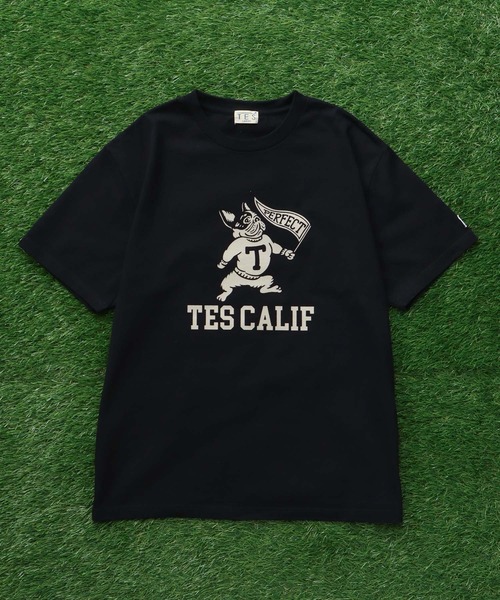 The Endless Summer（エンドレスサマー） tシャツ TES COLLEGE FLOCKY