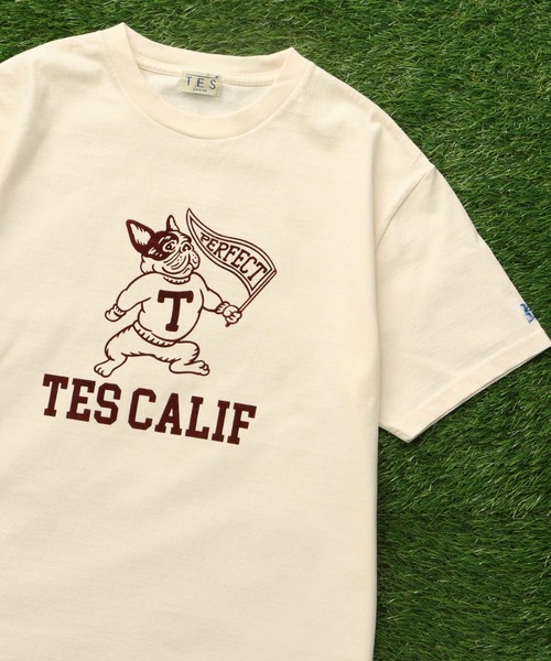 The Endless Summer（エンドレスサマー） tシャツ TES COLLEGE FLOCKY