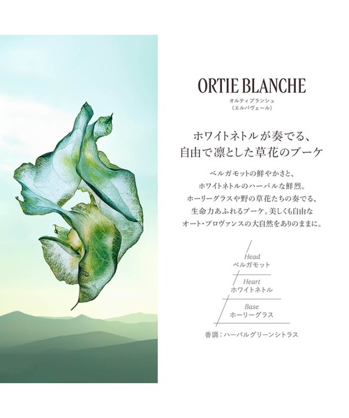 L'OCCITANE（ロクシタン） ボディクリーム オルティブランシュ「エルバ