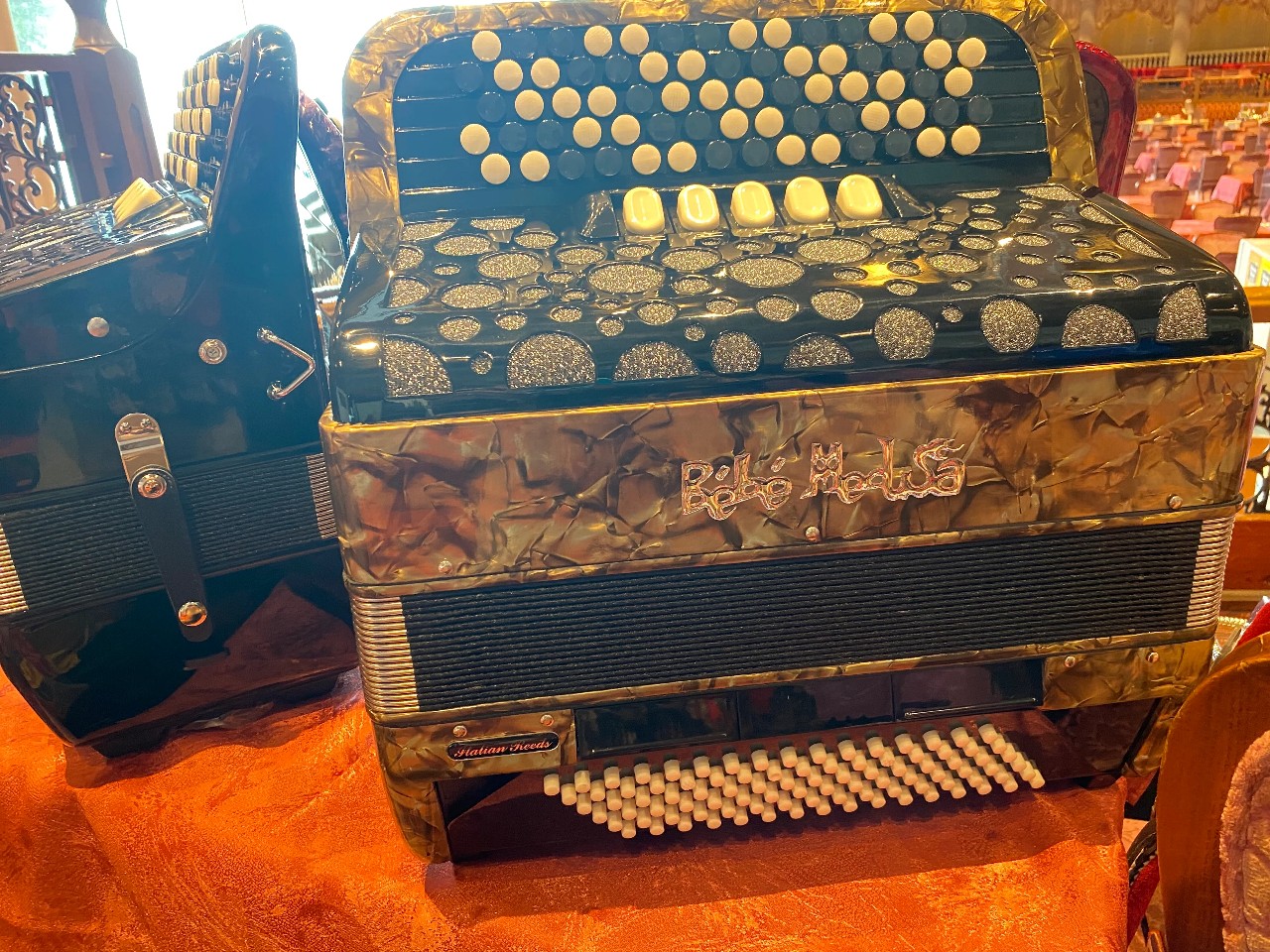 アコーディオン「Bébé Medusa」の日（9月18日 記念日） | 今日は何の日