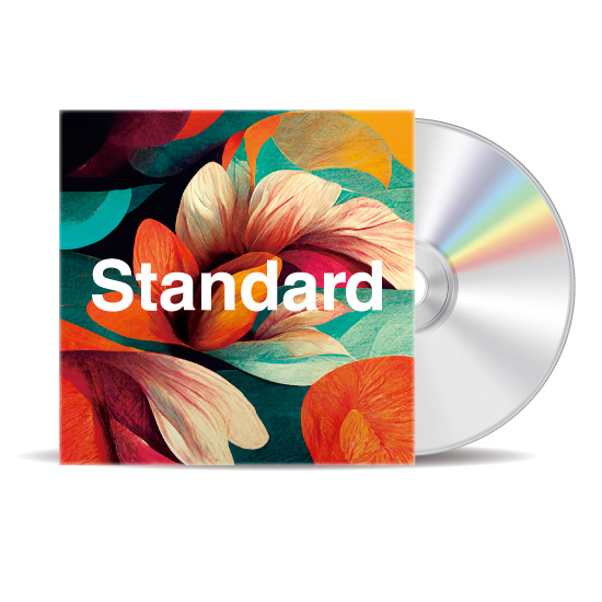 CRAZE 紙ジャケCD11枚組BOX ジャケステッカー付き CRAZE 紙ジャケCD11