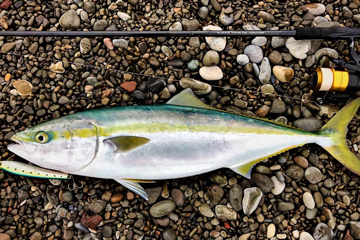 廃盤 希少 ゼナック プレジールアンサー PLAISIR ANSWER PA93 廃盤