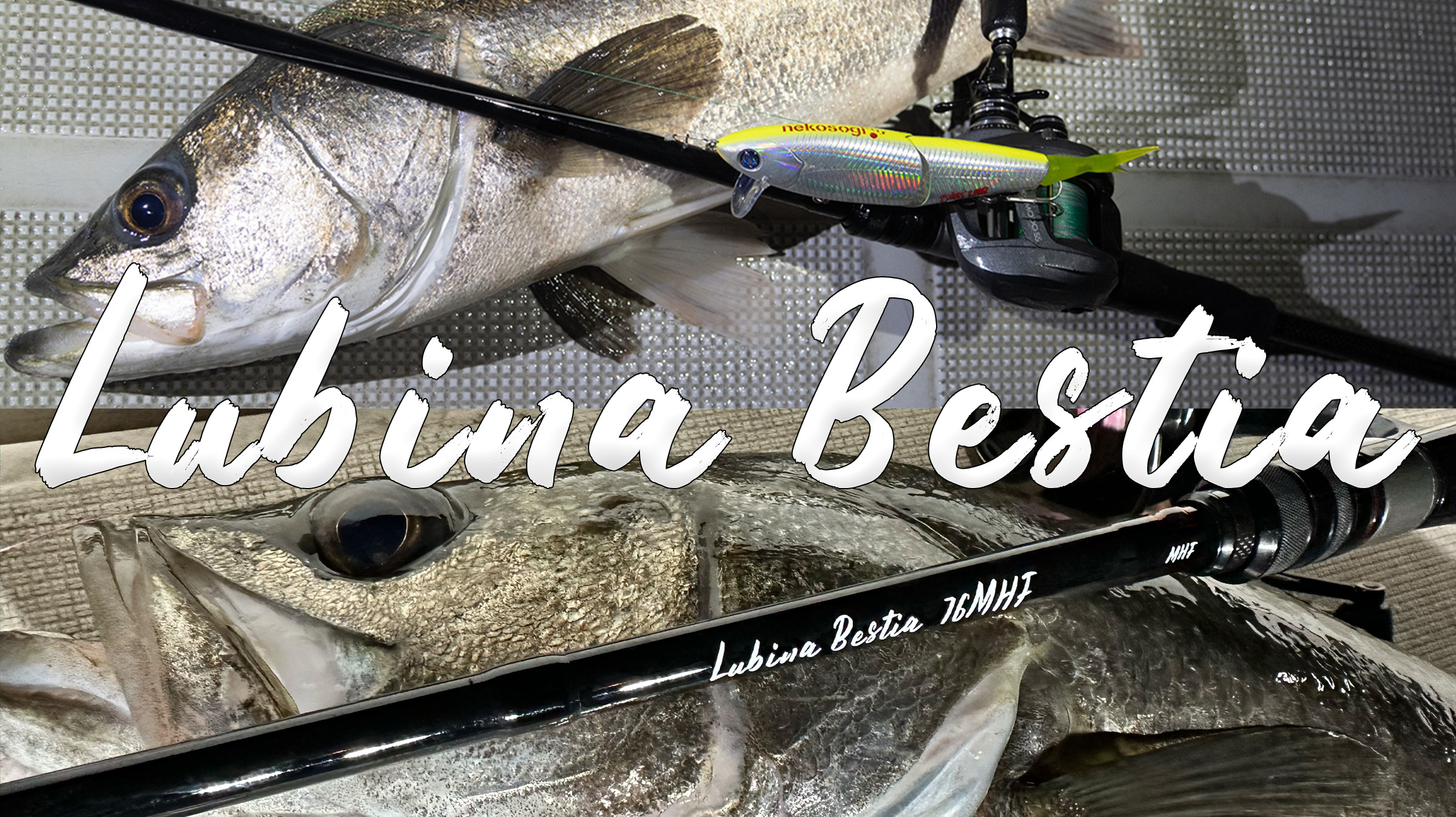 Lubina Bestia（ルビナベスティア） - ZENITH（ゼニス）：ロッド