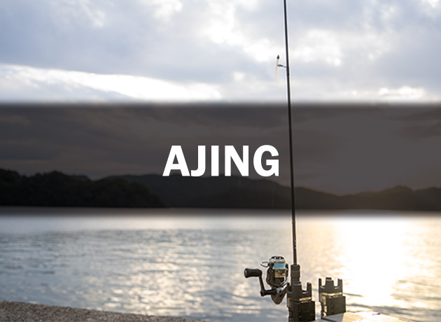 ZEROSHIKI MACHⅢ powerlight（ゼロシキ マッハスリー パワーライト