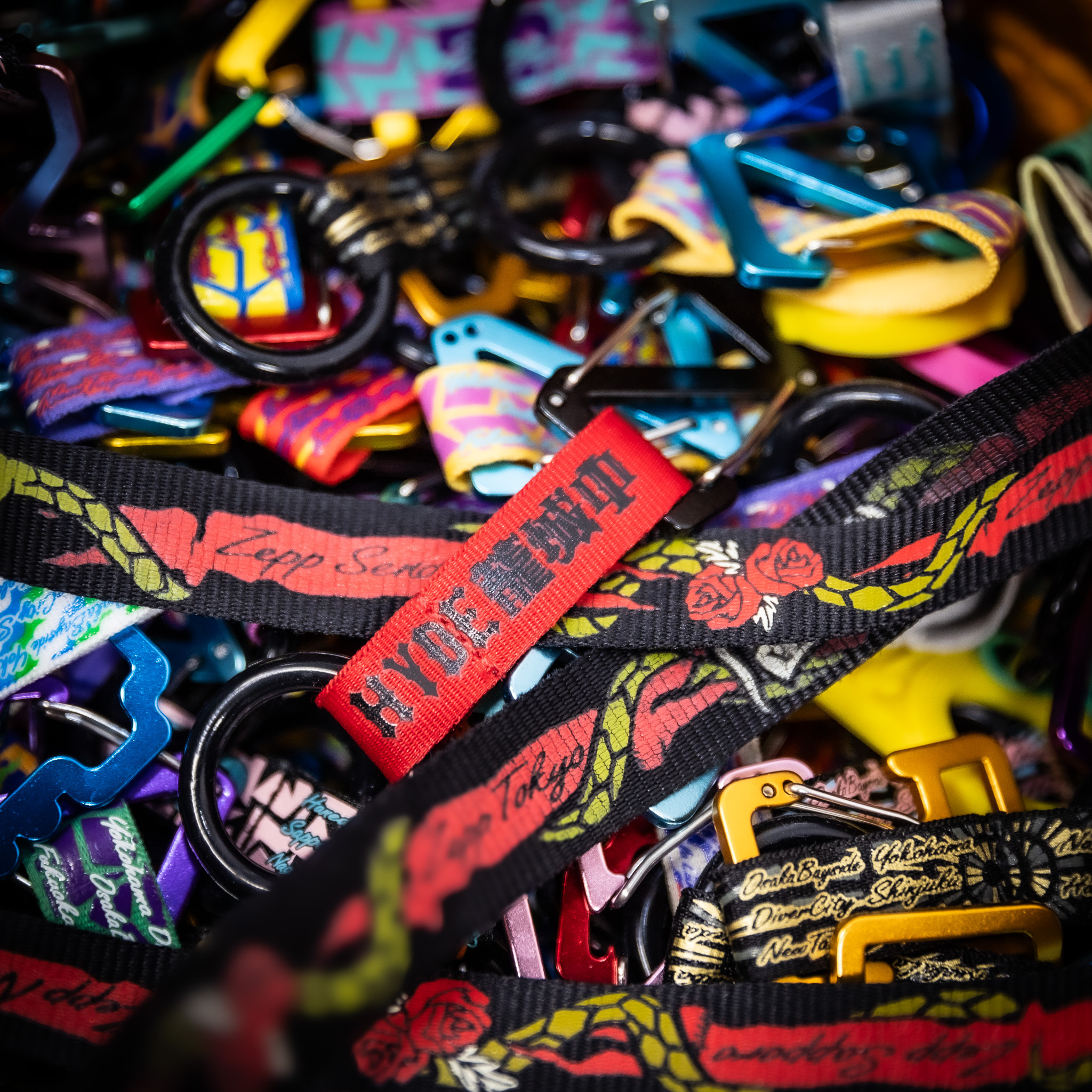 ZPZP×HYDE [INSIDE] LIVE 2025 WORLD TOUR HYDE籠城中カラビナ | ZPZP