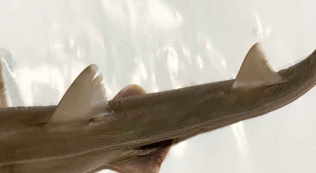 186846.jpeg?width=1024&height=