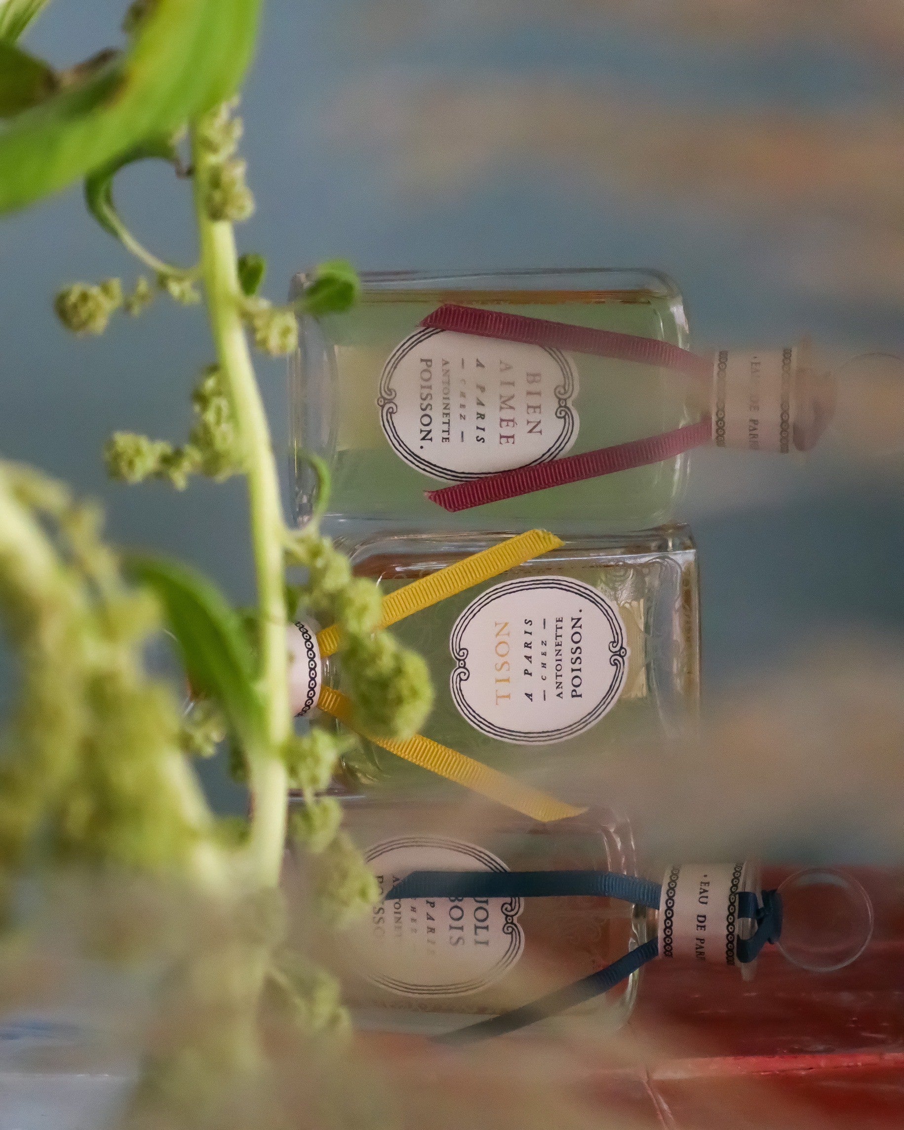 別世界へ誘う2種類のパルファン – ATELIER ONLINE