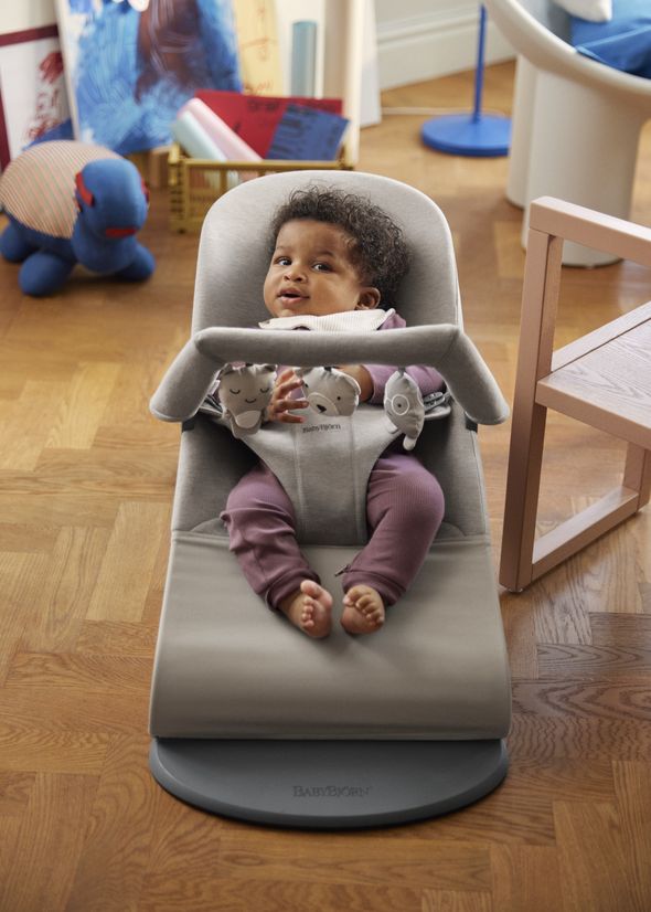 ベビービョルン｜ソフトトーイ フレンズ｜バウンサー用おもちゃ