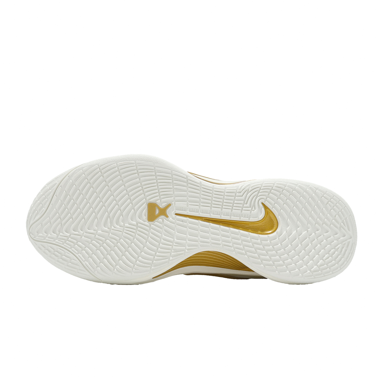 Nike A One EP Aja Wilson Gold Dynasty Women Unisex Basketball