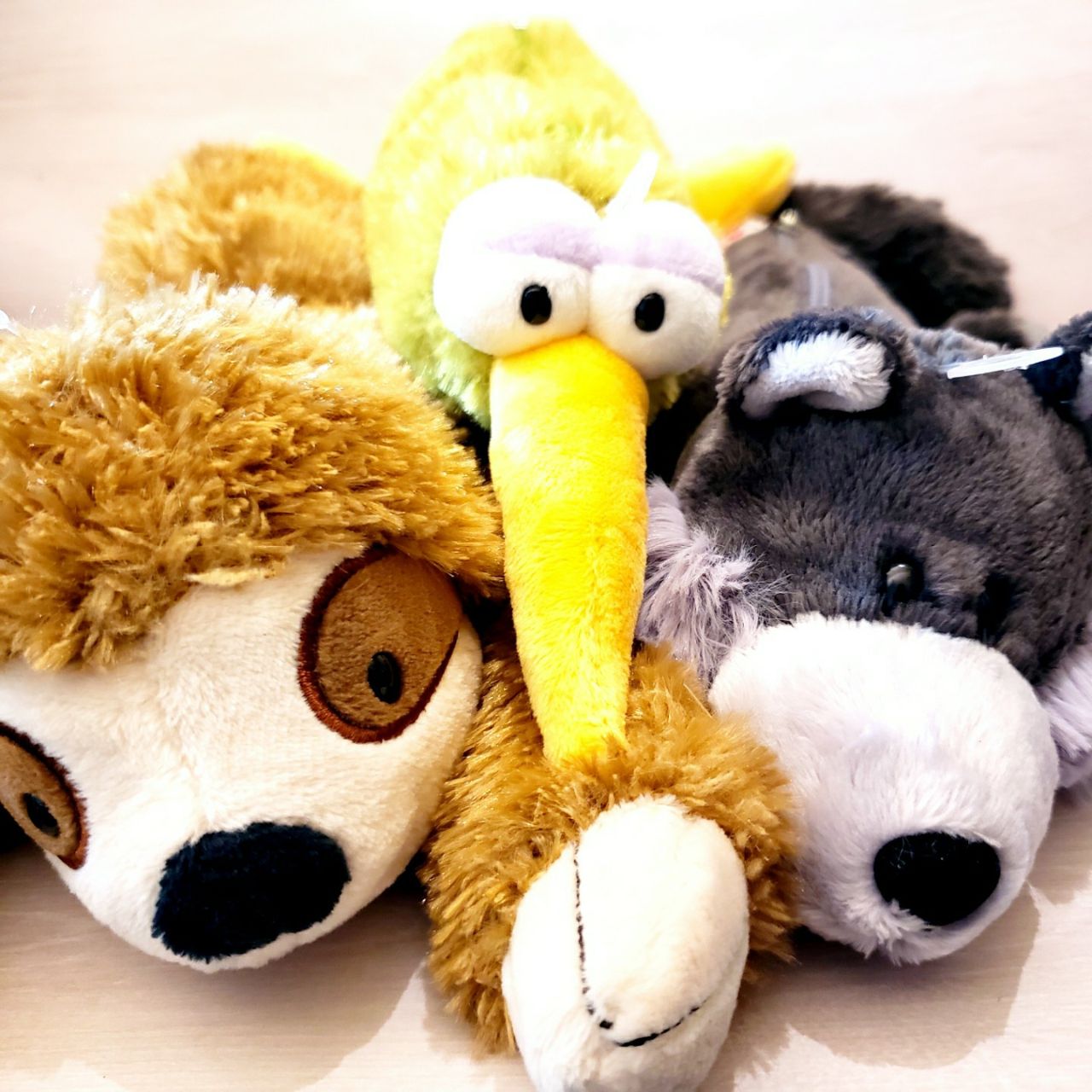 NICI 2023年9月新商品紹介【キウイバード､ナマケモノ､オオカミ