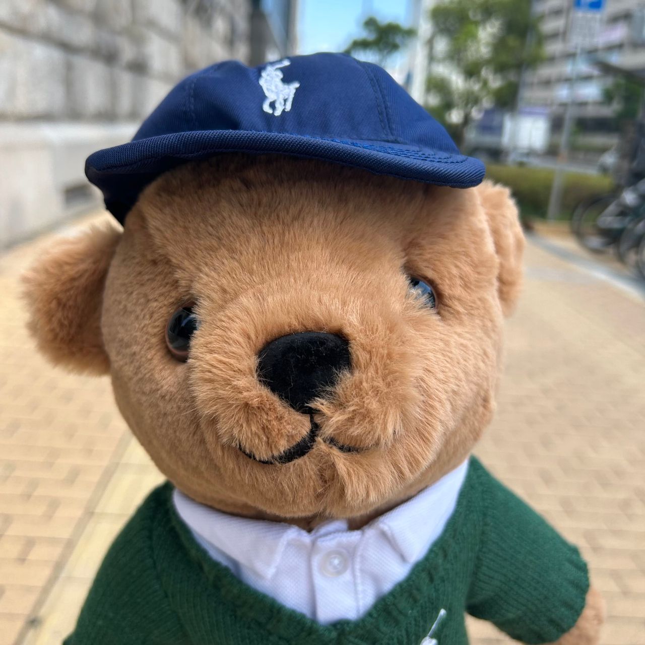 大人気ヘッドカバー】ポロベア入荷しました！ | ゴルフ5 プレステージ