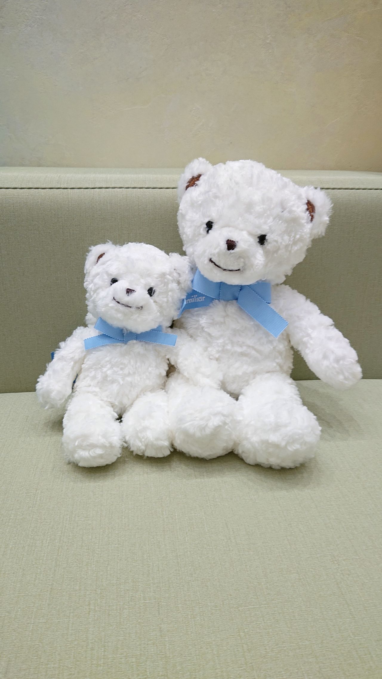 ファミリアベアー大集合！｜ファミリア三越日本橋本店ファミリア