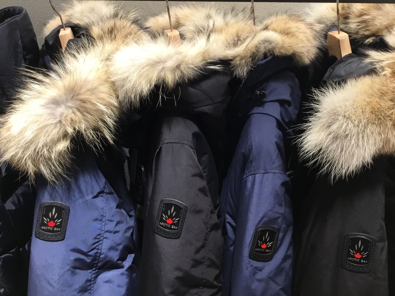 ARCTIC BAY | SHIPS(シップス) | SHIPS テラスモール湘南店 | シップス