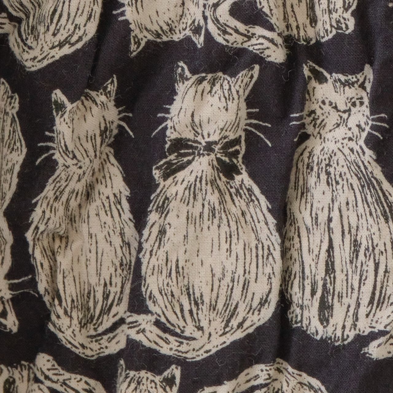 cat! cat! cat! | pas de calais Online | pas de calais | パドカレ