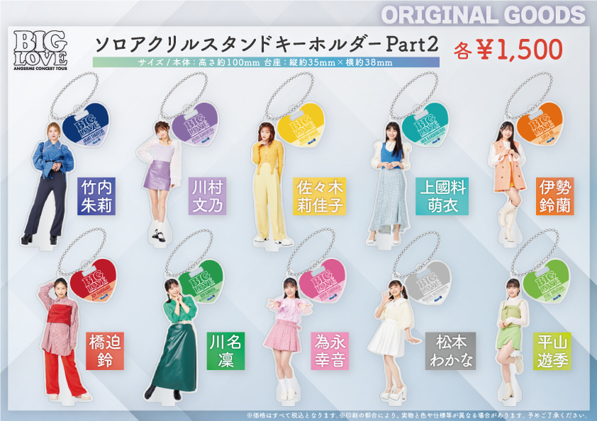 Aimer ライブツアー限定 タオル8点 & Tシャツ5点セット Aimer ライブ